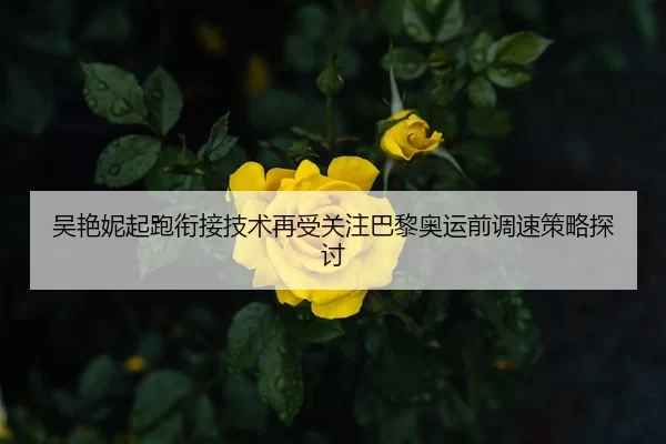 吴艳妮起跑衔接技术再受关注巴黎奥运前调速策略探讨